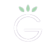 Grapevine